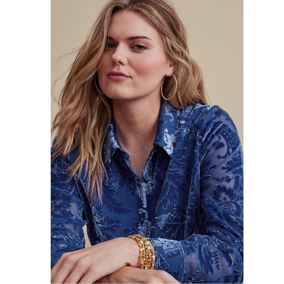 Soft Surroundings Floreat Velvet Devore Shirt in Blue Sapphire XL Button Down - Picture 3 of 12